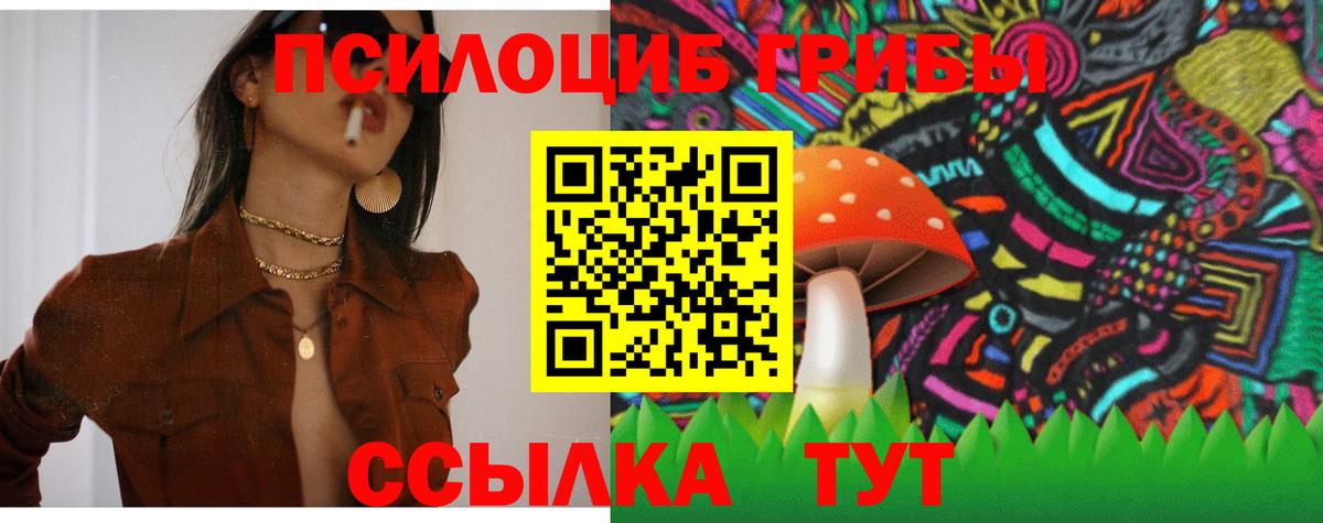 Псилоцибиновые грибы Cubensis  Вход с VPN  Богородск 