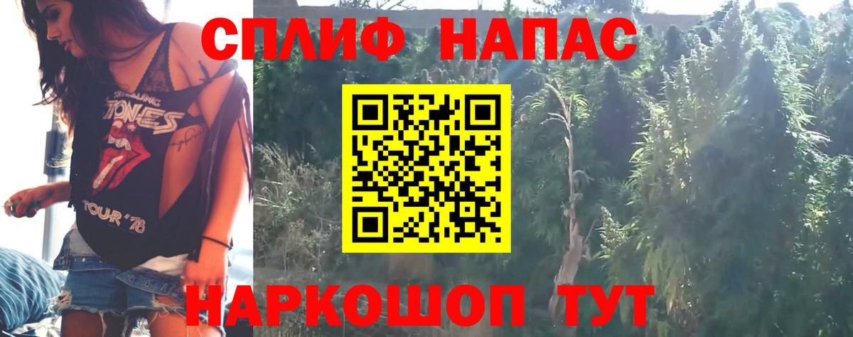 Каннабис MAZAR Богородск
